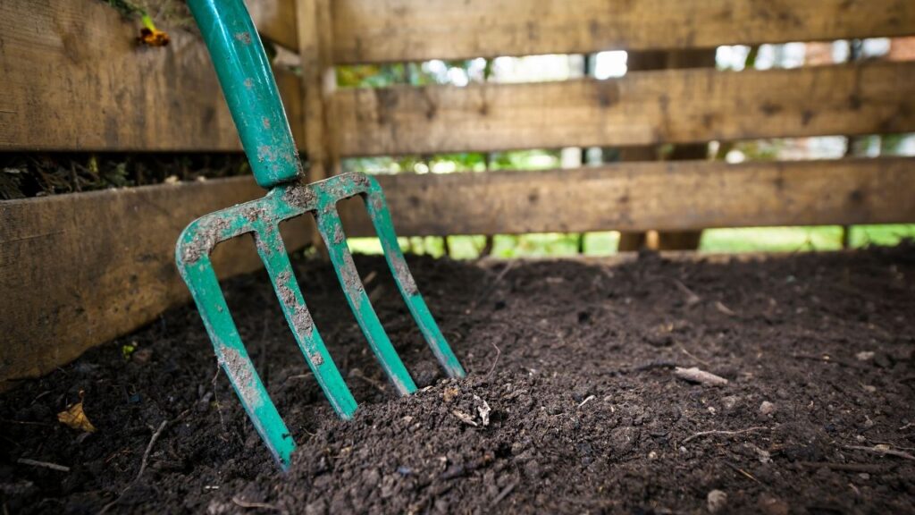 9 Essential Tools Every Beginner Gardener Needs