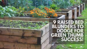 9 Raised Bed Blunders to Dodge for Green Thumb Success