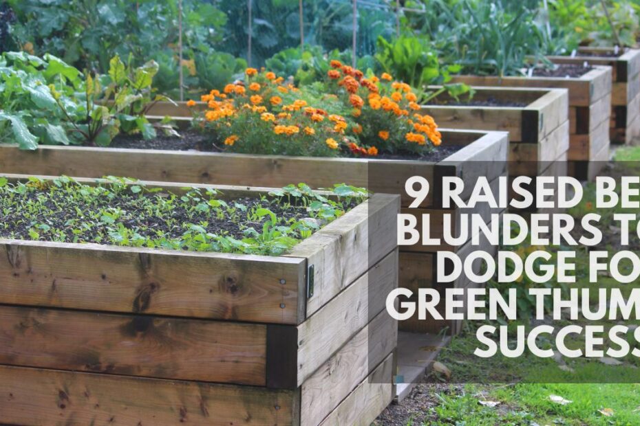 9 Raised Bed Blunders to Dodge for Green Thumb Success