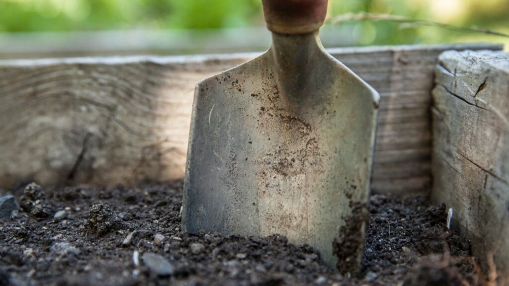 9 Essential Tools Every Beginner Gardener Needs