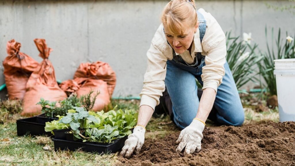 9 Essential Tools Every Beginner Gardener Needs