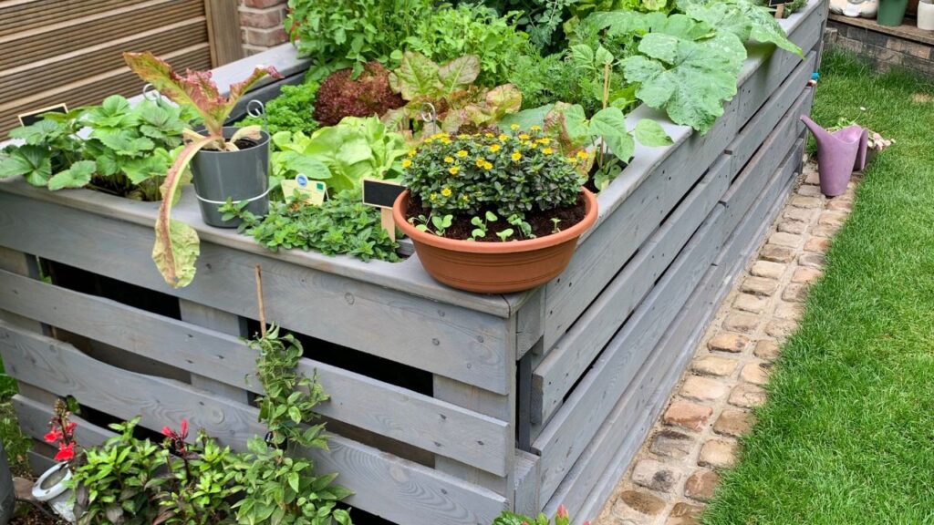 9 Raised Bed Blunders to Dodge for Green Thumb Success