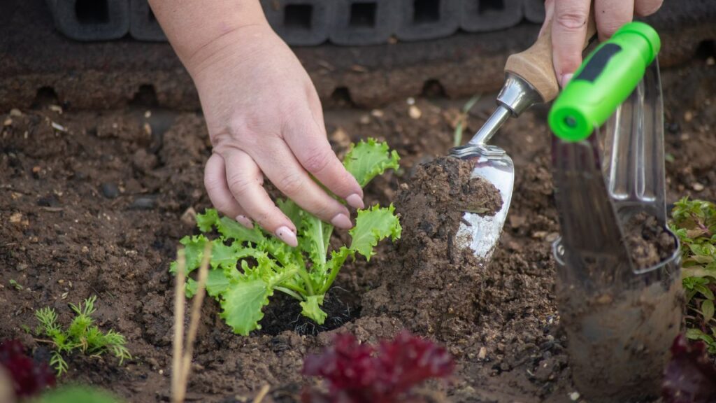 5 Gardening Tools You Must Not Forget to Use (1)