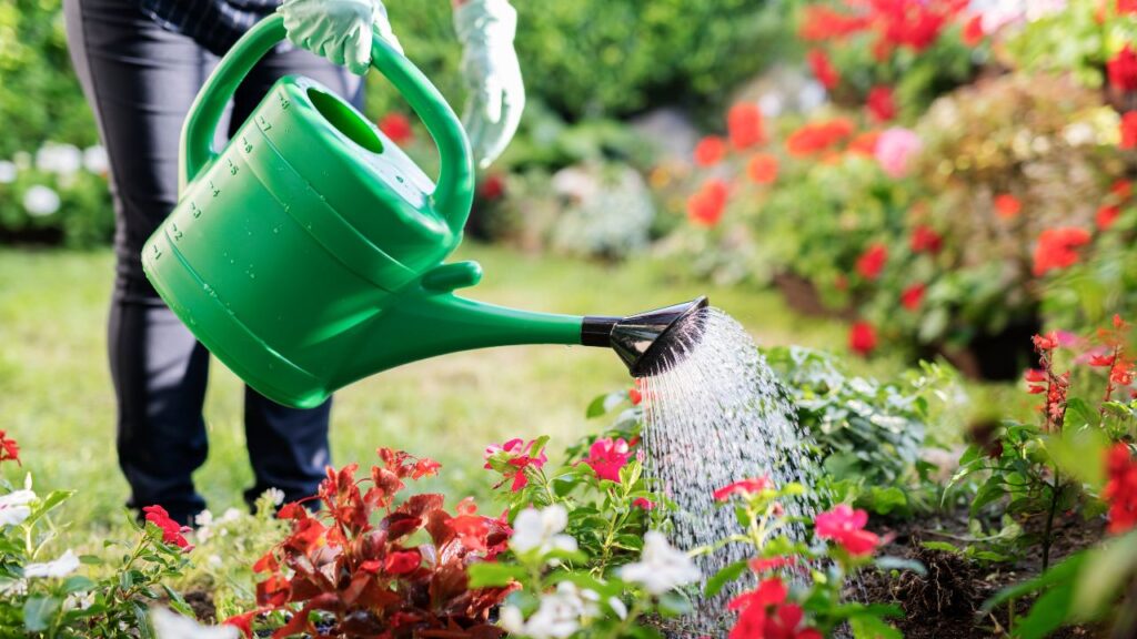 5 Gardening Tools You Must Not Forget to Use (4)