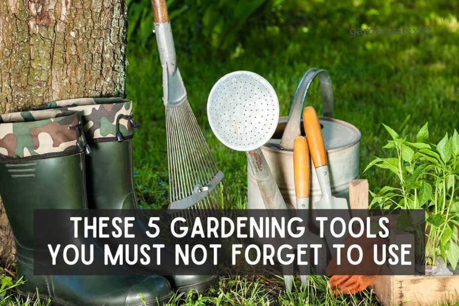 5 Gardening Tools You Must Not Forget to Use