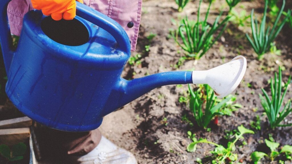 9 Essential Tools Every Beginner Gardener Needs