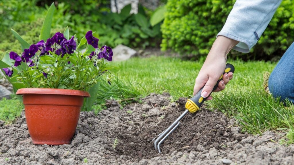 9 Essential Tools Every Beginner Gardener Needs