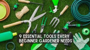 9 Essential Tools Every Beginner Gardener Needs