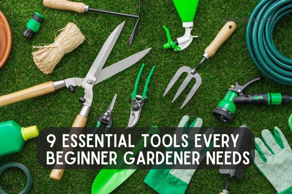 9 Essential Tools Every Beginner Gardener Needs