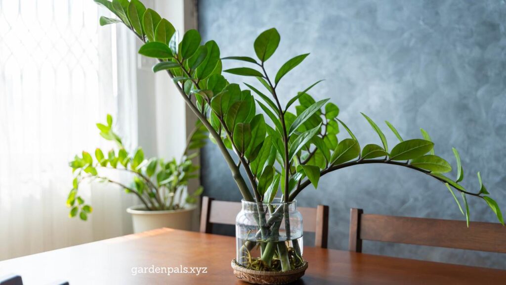 10 Must-Have Houseplants for a Happier Home Environment ZZ Plant