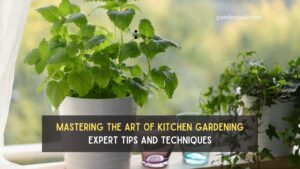 Mastering the Art of Kitchen Gardening: Expert Tips and Techniques