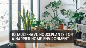 10 Must-Have Houseplants for a Happier Home Environment