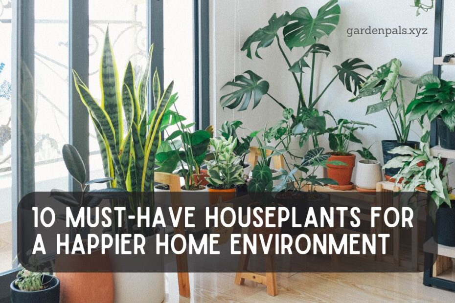 10 Must-Have Houseplants for a Happier Home Environment