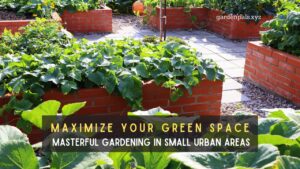 Maximize Your Green Space Masterful Gardening in Small Urban Areas