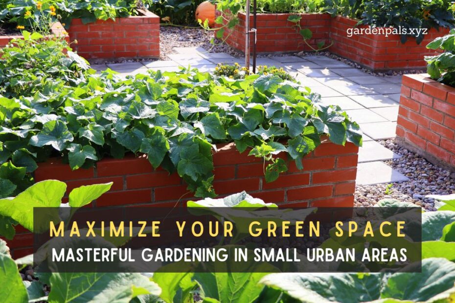 Maximize Your Green Space Masterful Gardening in Small Urban Areas