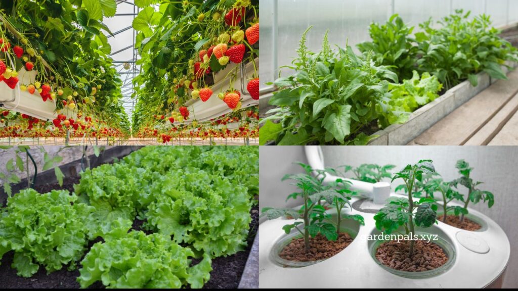 Unlock Year-Round Harvests 20 Foods You Can Cultivate in Buckets Anytime 1