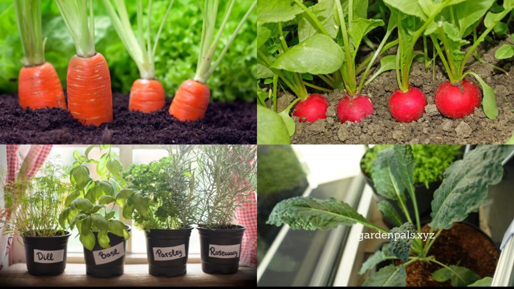 Unlock Year-Round Harvests 20 Foods You Can Cultivate in Buckets Anytime 2